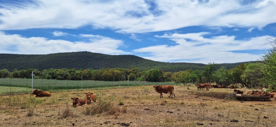 2 Bedroom Property for Sale in Swartruggens North West